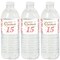 Big Dot of Happiness Mis Quince Anos - Quinceanera Sweet 15 Birthday Party Water Bottle Sticker Labels - Set of 20